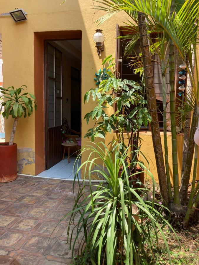 Calida Habitacion A 10 Min De Santo Domingo Oaxaca Exterior photo