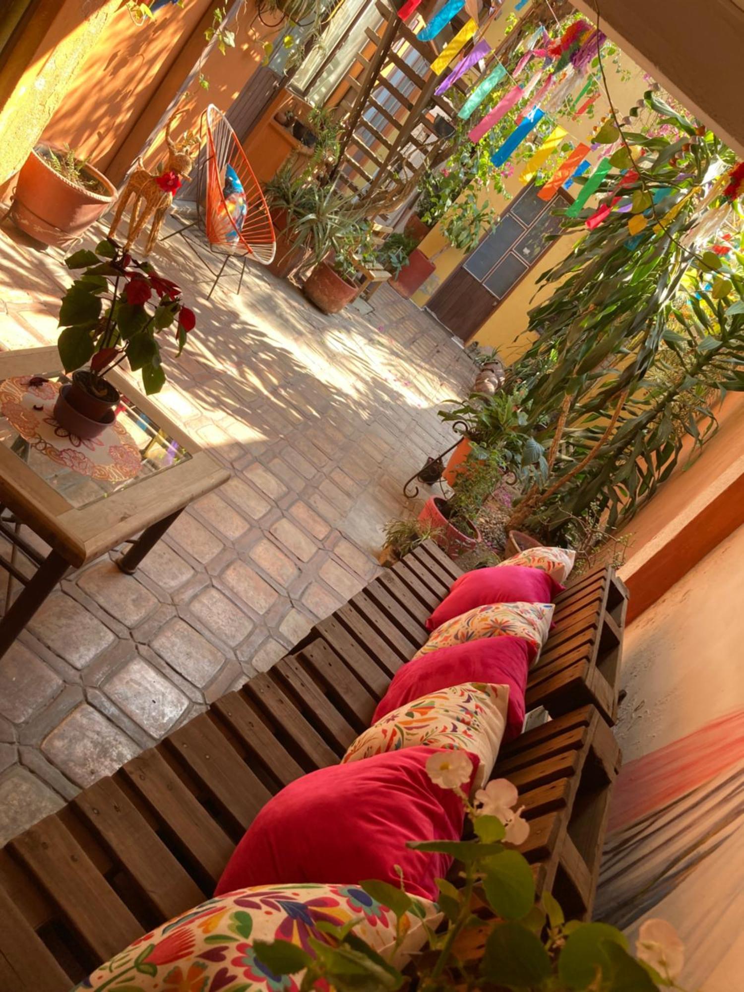Calida Habitacion A 10 Min De Santo Domingo Oaxaca Exterior photo